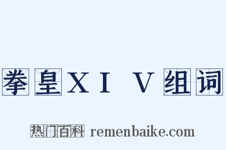 拳皇XIV组词是什么意思的图片